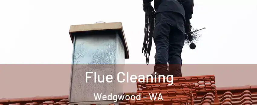 Flue Cleaning Wedgwood - WA