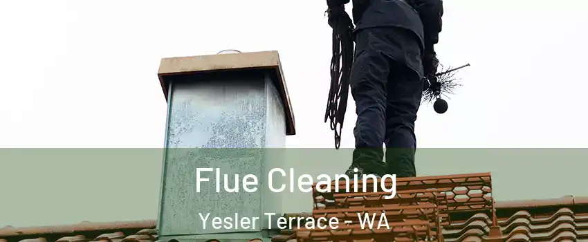 Flue Cleaning Yesler Terrace - WA