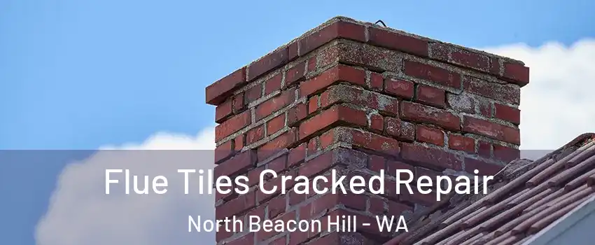 Flue Tiles Cracked Repair North Beacon Hill - WA