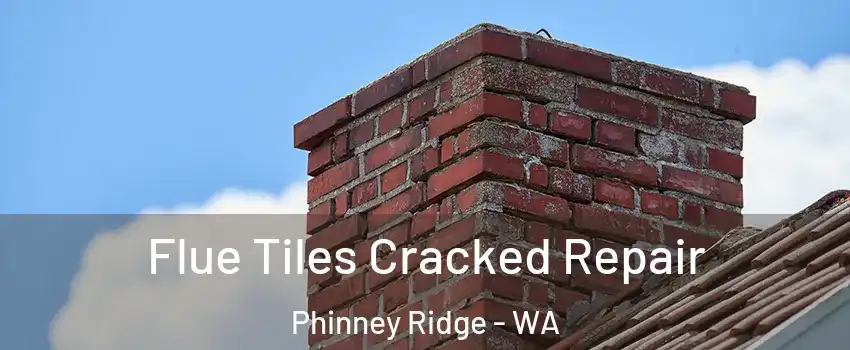 Flue Tiles Cracked Repair Phinney Ridge - WA