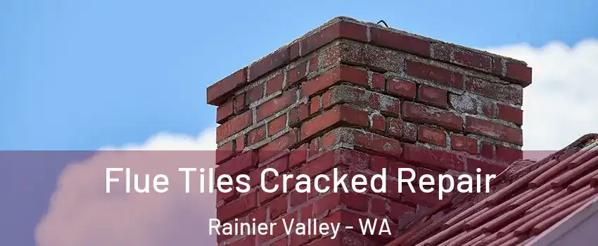 Flue Tiles Cracked Repair Rainier Valley - WA