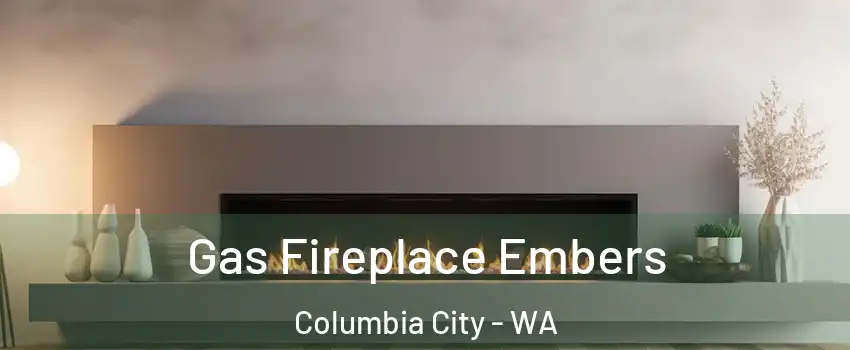 Gas Fireplace Embers Columbia City - WA