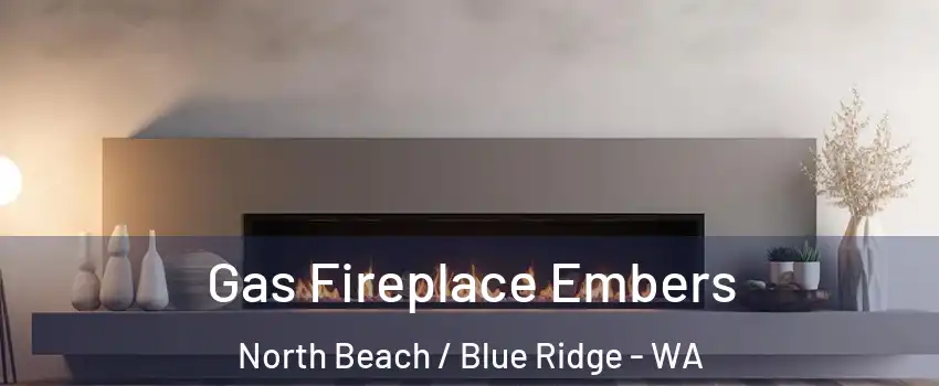 Gas Fireplace Embers North Beach / Blue Ridge - WA