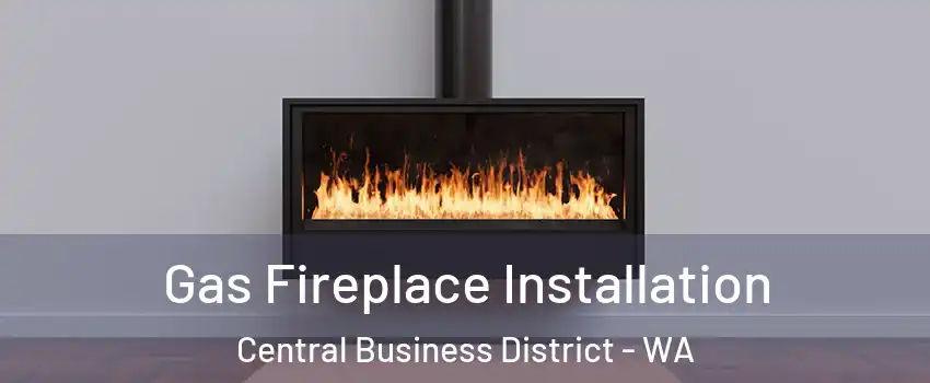 Gas Fireplace Installation Central Business District - WA