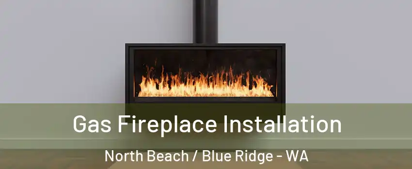 Gas Fireplace Installation North Beach / Blue Ridge - WA