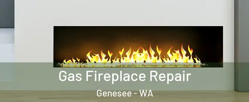 Gas Fireplace Repair Genesee - WA