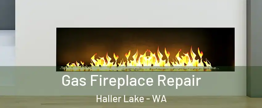 Gas Fireplace Repair Haller Lake - WA