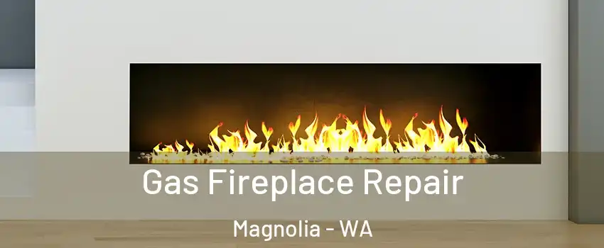 Gas Fireplace Repair Magnolia - WA