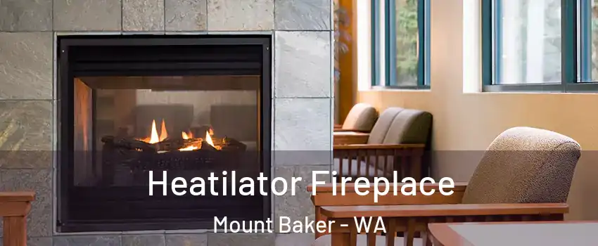 Heatilator Fireplace Mount Baker - WA