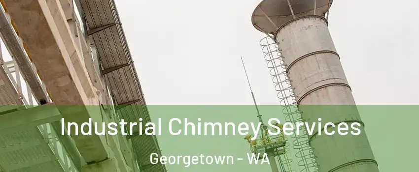 Industrial Chimney Services Georgetown - WA