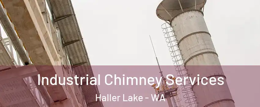 Industrial Chimney Services Haller Lake - WA