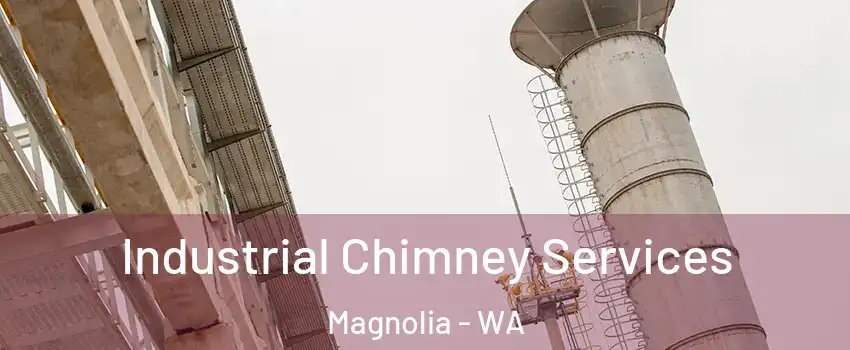 Industrial Chimney Services Magnolia - WA