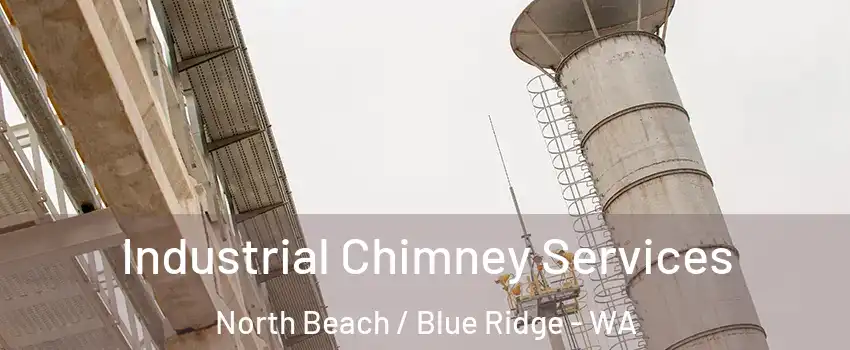 Industrial Chimney Services North Beach / Blue Ridge - WA