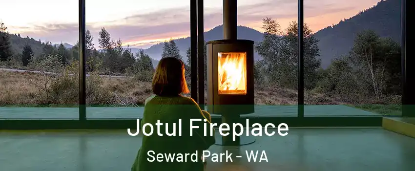 Jotul Fireplace Seward Park - WA