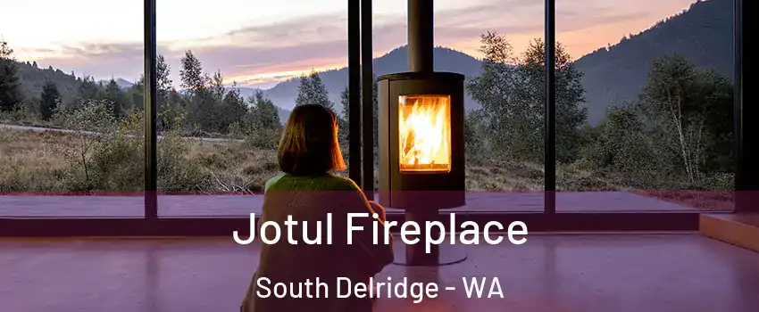 Jotul Fireplace South Delridge - WA