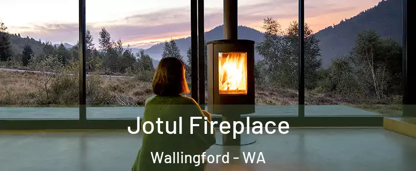 Jotul Fireplace Wallingford - WA