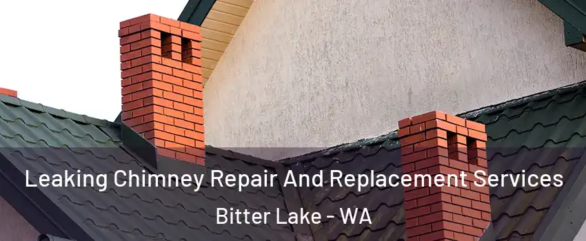 Leaking Chimney Repair And Replacement Services Bitter Lake - WA