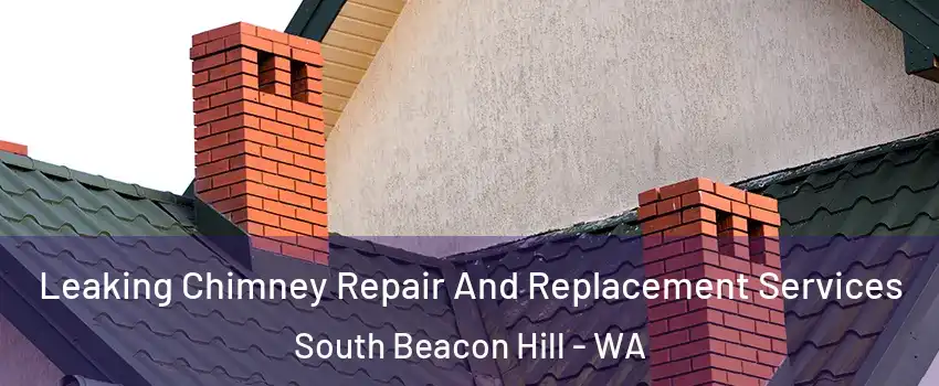 Leaking Chimney Repair And Replacement Services South Beacon Hill - WA