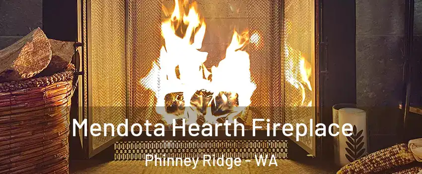 Mendota Hearth Fireplace Phinney Ridge - WA