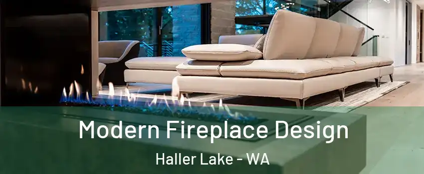 Modern Fireplace Design Haller Lake - WA