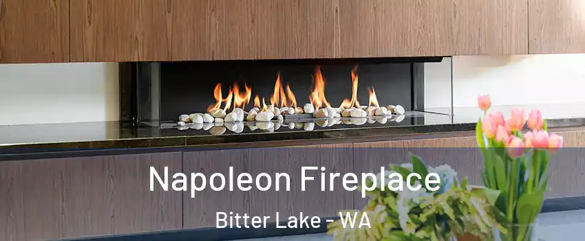 Napoleon Fireplace Bitter Lake - WA