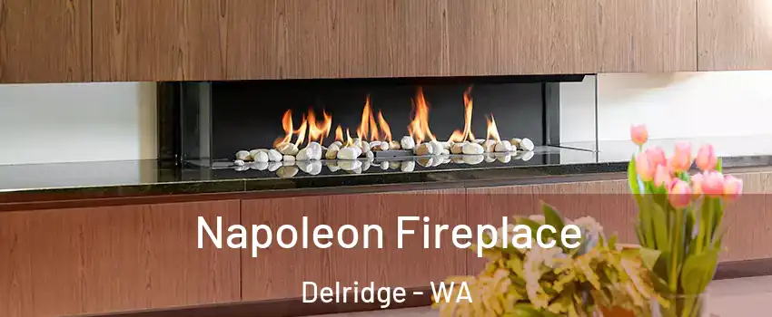 Napoleon Fireplace Delridge - WA