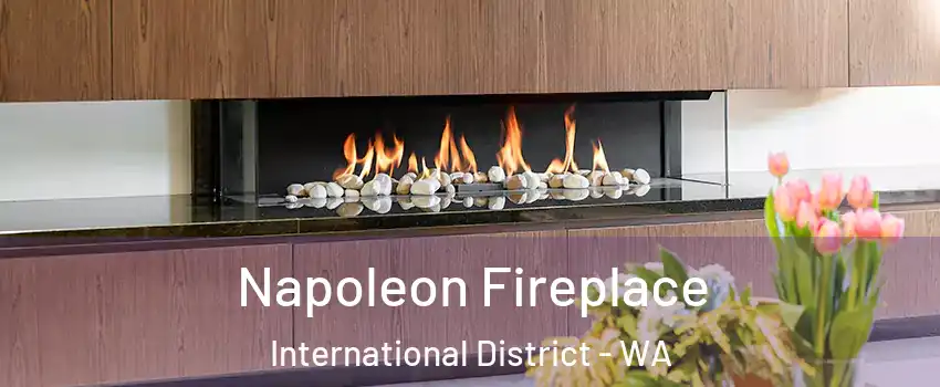 Napoleon Fireplace International District - WA