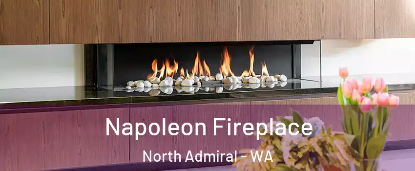 Napoleon Fireplace North Admiral - WA