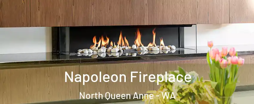 Napoleon Fireplace North Queen Anne - WA