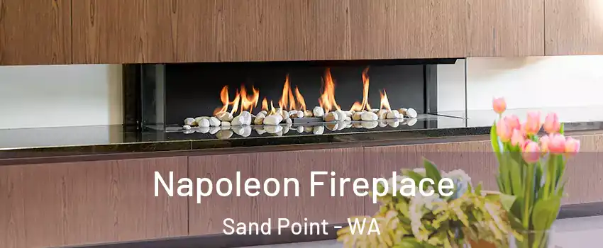 Napoleon Fireplace Sand Point - WA