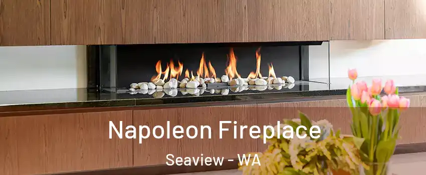 Napoleon Fireplace Seaview - WA