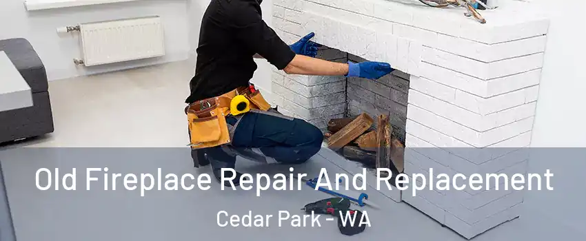 Old Fireplace Repair And Replacement Cedar Park - WA