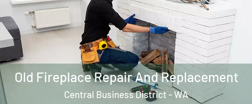 Old Fireplace Repair And Replacement Central Business District - WA