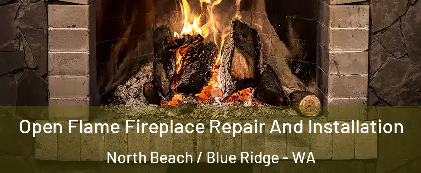 Open Flame Fireplace Repair And Installation North Beach / Blue Ridge - WA