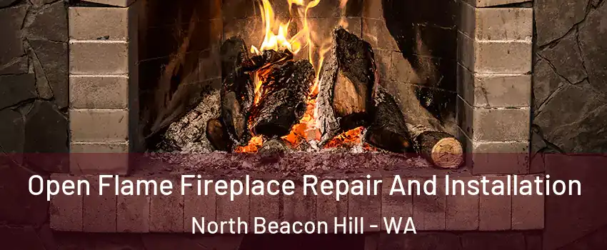 Open Flame Fireplace Repair And Installation North Beacon Hill - WA