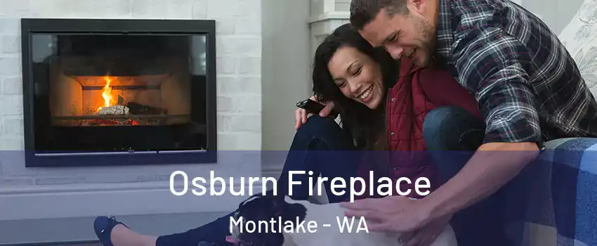 Osburn Fireplace Montlake - WA