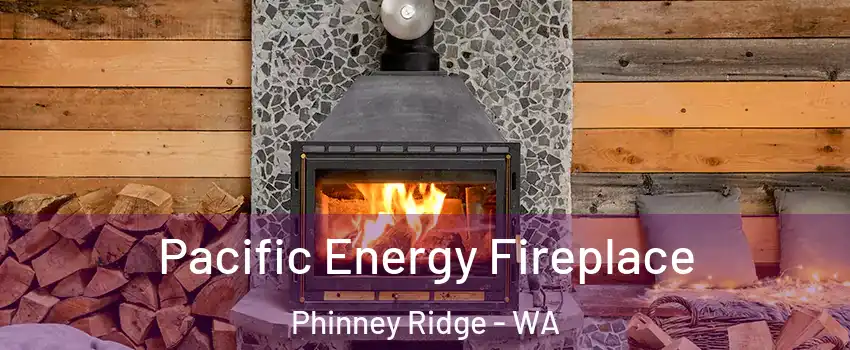 Pacific Energy Fireplace Phinney Ridge - WA