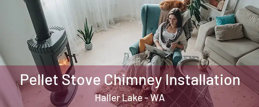 Pellet Stove Chimney Installation Haller Lake - WA