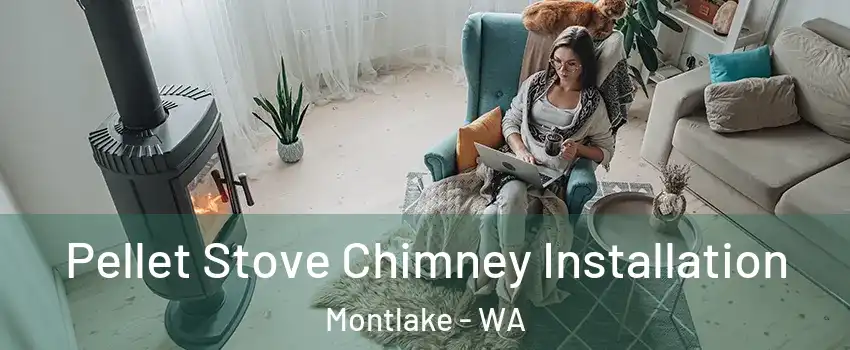 Pellet Stove Chimney Installation Montlake - WA