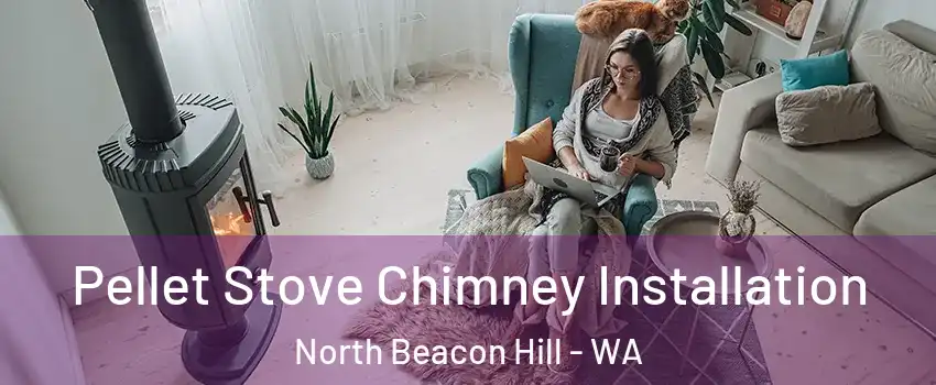 Pellet Stove Chimney Installation North Beacon Hill - WA