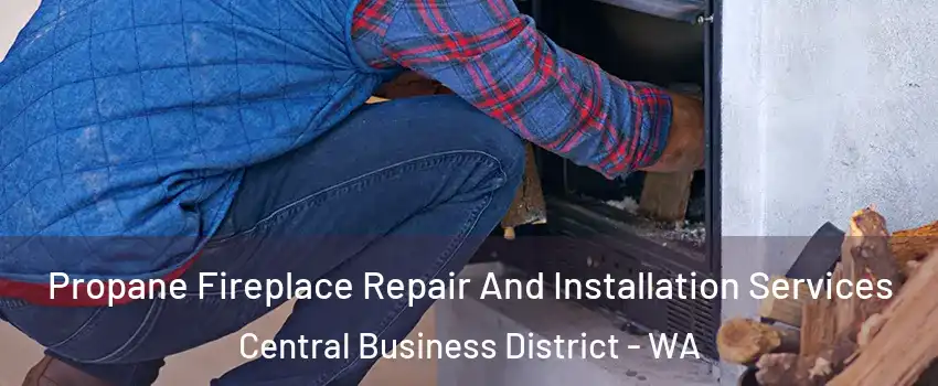 Propane Fireplace Repair And Installation Services Central Business District - WA