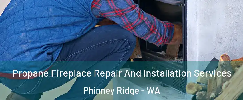 Propane Fireplace Repair And Installation Services Phinney Ridge - WA