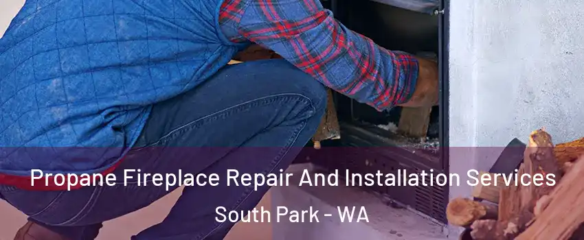 Propane Fireplace Repair And Installation Services South Park - WA