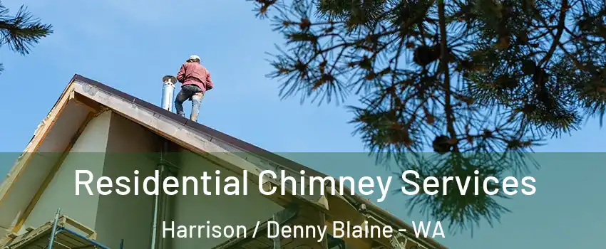 Residential Chimney Services Harrison / Denny Blaine - WA