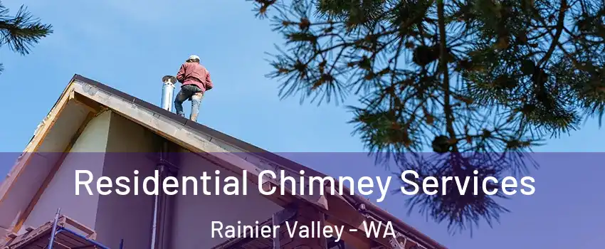 Residential Chimney Services Rainier Valley - WA