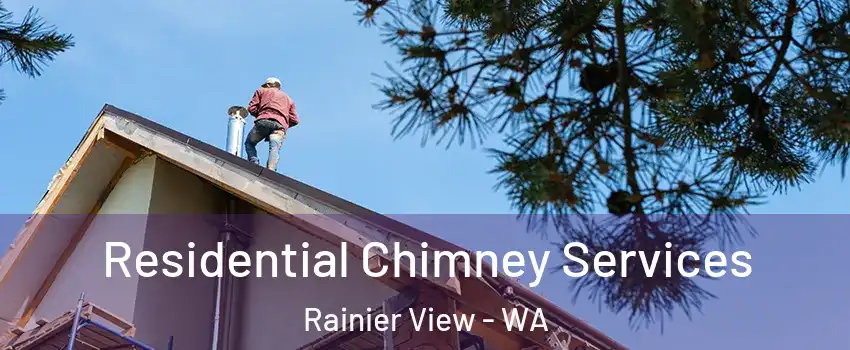 Residential Chimney Services Rainier View - WA