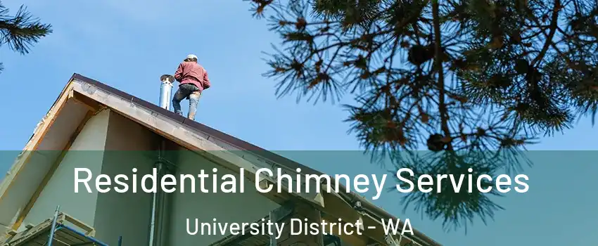 Residential Chimney Services University District - WA