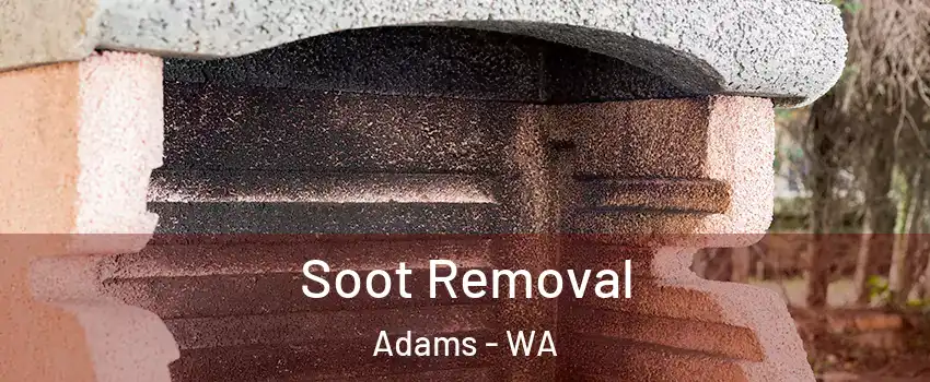 Soot Removal Adams - WA