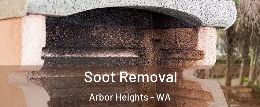 Soot Removal Arbor Heights - WA