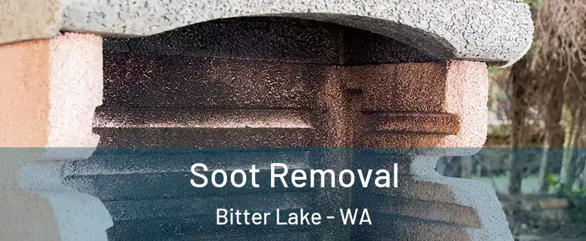 Soot Removal Bitter Lake - WA